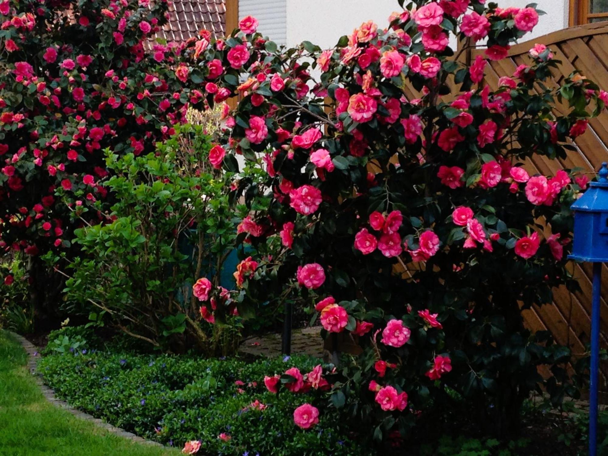 Apartment Im Garten เกนเกนบาค ภายนอก รูปภาพ